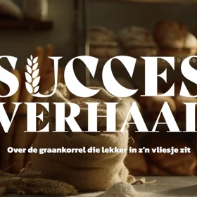 Succesverhaal 1 Succesverhaal 1