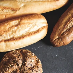 Brood Header 0