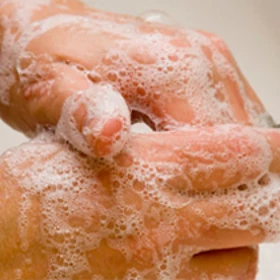 hygiene_270_x_210kopie.jpg hygiene_270_x_210kopie.jpg